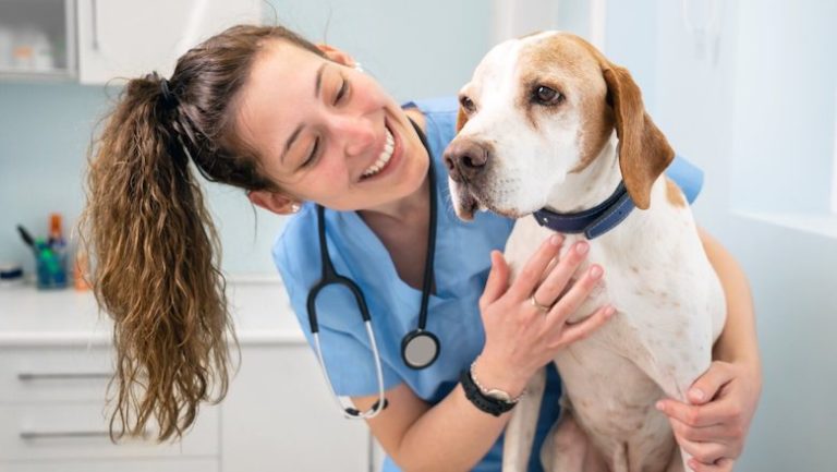Best Vet Schools in Melbourne