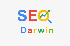 Best SEO Services in Darwin